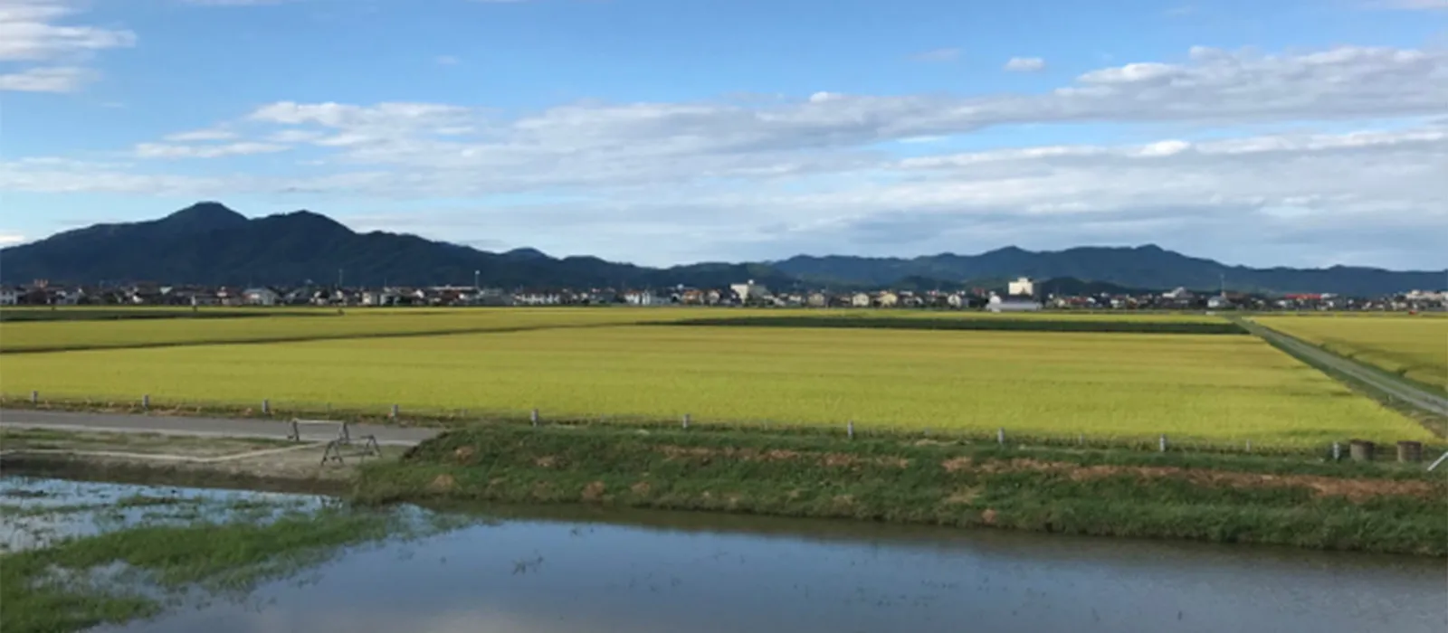 続・鶴岡再発見プロジェクト
