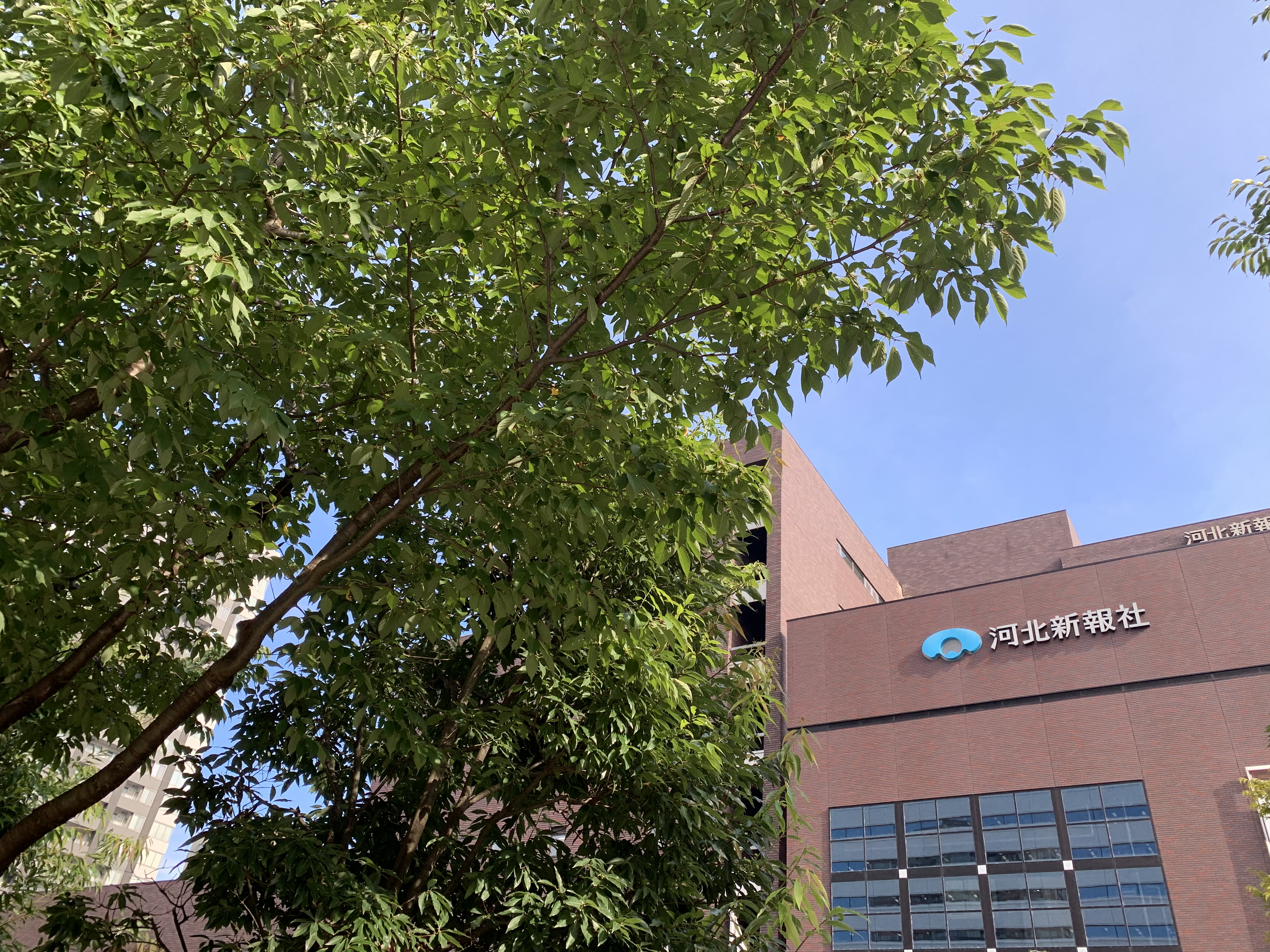 DA804149-EF6D-4387-A58A-E7FE9C860E63